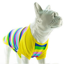 Lindodogs Color Box Kopek Tshirt