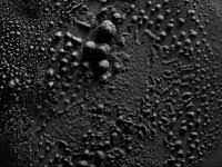 Cymaglyphs Made Using A Cymascope Cymatics The Visualization Of Vibration And Sound Primary Expressions Of Universal Forms Cymatics Geometry Sacred Geometry
