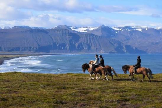 Top Horse Riding Destinations Around the World in 2026 -  BookHorseRidingHolidays.com