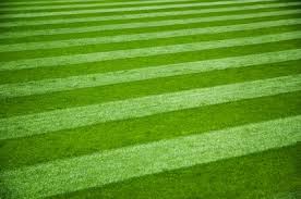 Bradenton (fl), 34205, united states. Top Notch Cut Lawn Care Home Facebook