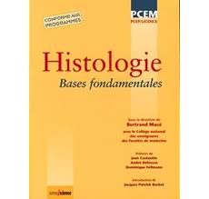 Amazon Fr Embryologie Medicale 13e Edition Americaine Langman Jan Sadler T W Bloch Bertrand Livr Livres A Telecharger Gratuitement Edition Medical