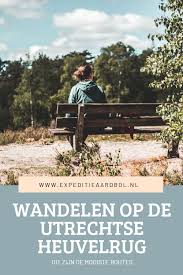 Wandelen Utrechtse Heuvelrug Dit Zijn De Mooiste Routes En Wandelingen In 2020 Nationale Parken Wandelen Reizen