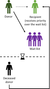 Futbol capsleri komik capsler komik gördüğümüz capsleri paylaşıyoruz. Kidney Exchange Strategies New Aspects And Applications With A Focus On Deceased Donor Initiated Chains Furian 2020 Transplant International Wiley Online Library