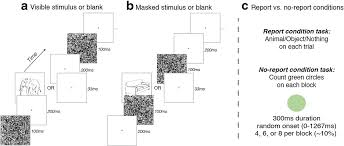 Distinguishing The Neural Correlates Of Perceptual Awareness And Postperceptual Processing Journal Of Neuroscience