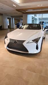 Image result for Polar Surge Satin 2024 LC