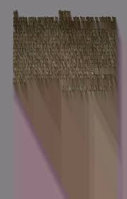 History of medical practice in Illinois