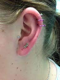 Yellow Gold Feather From Bvla In A Fresh Earlobe Piercing Healed Double Spiral From Anatometal Different Ear Piercings Gold Feathers Piercings