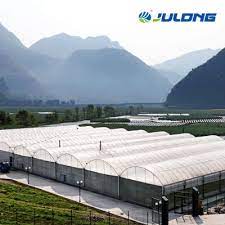 China Aquaponic Lettuce Hydroponics Growing System Venlo Spire Glass Greenhouse Farm For Sale China Greenhouse Multi Span Greenhouse