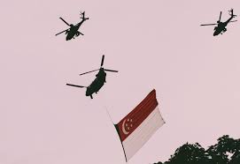 Unser kundenservice hilft ihnen bei allen fragen zu ihrer hotelbuchung gerne weiter. What To Do For National Day 2020 Watch The Saf Red Lions In Action Catch Fireworks And More Tatler Singapore