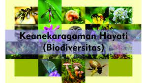 Keanekaragaman Hayati Biology Quiz Quizizz