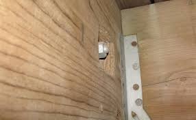 Pressure treated douglas fir is the most common choice for deck foundations and other structures that need to withstand moisture. Home Depot Lumber Prices 2x8x16