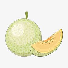 Google has many special features to help you find exactly what you're looking for. Hami Melon Material Png And Clipart Buah Melon Gambar