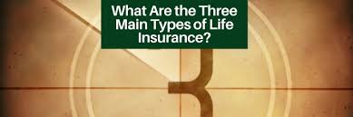 Maybe you would like to learn more about one of these? What Are The Three Main Types Of Life Insurance The Insurance Pro Blog