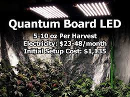 Hlg 500 v2 is unique high output led grow light that can cover 6 x 6ft veg growing area adequately. Best Quantum Board Led Grow Lights 101growlights