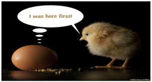 Who Came First Chicken Or Egg Chicken Eggs Eggs First They Came
