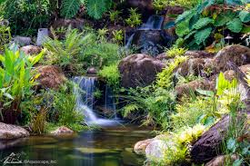 Call us or shop online · we've got your tank · all shapes and sizes Aquascape Inc On Twitter There S So Much Inspiration To Be Found In Australian Waterfalls Waterscapesaust Always Takes A Cue From Nature When Designing And Installing Waterfalls And Ponds Here S A Look At