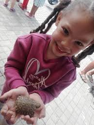 Buckleigh House Preschool and Educare Centre