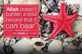 Every Burden Is Commensurate With It S Reward Here Or In The Hereafter In Sha Allah Islamic Quotes Allah Alhamdulillah For Everything