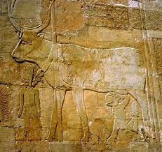 Goddess Hathor The 18th Dynasty S Queen Hatshepsut 1508 1458 Bc Being Suckled By The Goddess Hathor Depict Ancient Egyptian Gods Ancient Egypt Art Egypt God