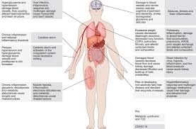 A Metabolic Handbook For The Covid 19 Pandemic Nature Metabolism