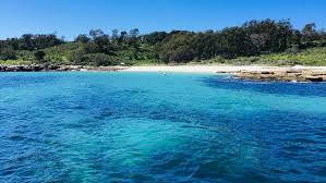 Hang on tight as you depart circular quay and head directly out the heads and out into the open ocean. Top 10 Things To Do In Sydney Live User Generated