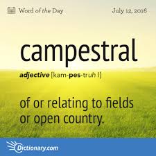 Dada Lexicography Words Unusual Words English Words