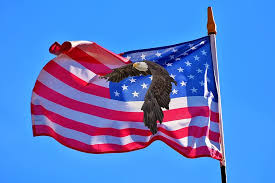 Maybe you would like to learn more about one of these? Eagle Flag Usa America Symbol Patriotic American National Nation Dom Government Pikist