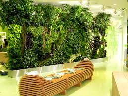 We provide interior screens and designs, including balustrade, room dividers and cut vinyls. Your Dream Indoor Garden Ideas That Will Amaze You