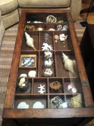 She Sells Sea Shells Naturalist Decor Craft Table Display Shadow Box Coffee Table
