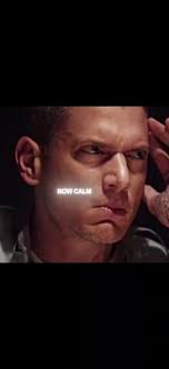 Prison Break Michael Mother