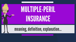 Examples of different perils in home insurance are fire, hail damage, flooding, earthquake, theft, etc. What Is Multiple Peril Insurance What Does Multiple Peril Insurance Mean Youtube