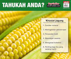 We did not find results for: Adabi Consumer Tahukah Anda Terdapat Pelbagai Facebook