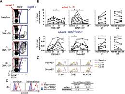 Color each part of the cell its designated color. Innate Molecular And Cellular Signature In The Skin Preceding Long Lasting T Cell Responses After Electroporated Dna Vaccination The Journal Of Immunology