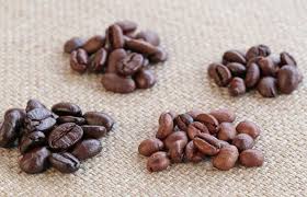 A Definitive Guide To The 4 Main Types Of Coffee Beans Atlas Coffee Club