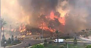 Manavgat'taki orman yangınına ekipler havadan ve karadan müdahaleyi sürdürürken, yeniköy mahallesi sakinleri de ellerine aldıkları hortumlarla yangının evlerine yaklaşmasını engellemeye çalışıyor. Nadacz8r 3idlm
