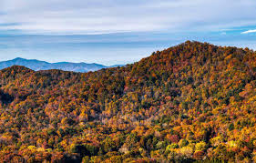 Old Farmer's Almanac Fall Forecast 2024: 3 Surprising States That Could See an Early Frost (And What It Means for Your Garden)