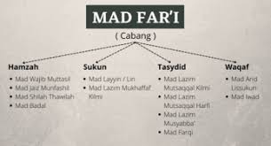 Lengkapnya, secara pengertian, mad lin adalah huruf layyin, yang di depannya adalah huruf sukun bukan sukun asli, melainkan sukun karena waqaf. Mad Layyin Pengertian Hukum Bacaan Contoh Dan Cara Membaca