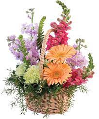Modern bouquets & unique plants designed to impress. Parker Florist Parker Co Flower Shop Parker Blooms