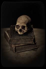 An Education In Rebellion Hasselblad C Nikki Sixx Skull Art Skull Nikki Sixx