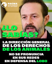 🔇¿Dónde está Joserra Becerra Joserra Becerra? ¿Dónde está la Dirección  General de los Derechos de los Animales? 🐺El lobo ibérico vuelve a estar  amenazado. El Congreso aprueba una ley que permite caza