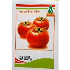 Buy heirloom tomato seeds from swallowtail garden seeds. Icon Red Hybrid Tomato Seeds Packaging Type Packet Packaging Size 10gm Rs 180 Packet Id 14993902030