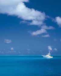 여자아이돌 딥페이크 - 장발 갤러리