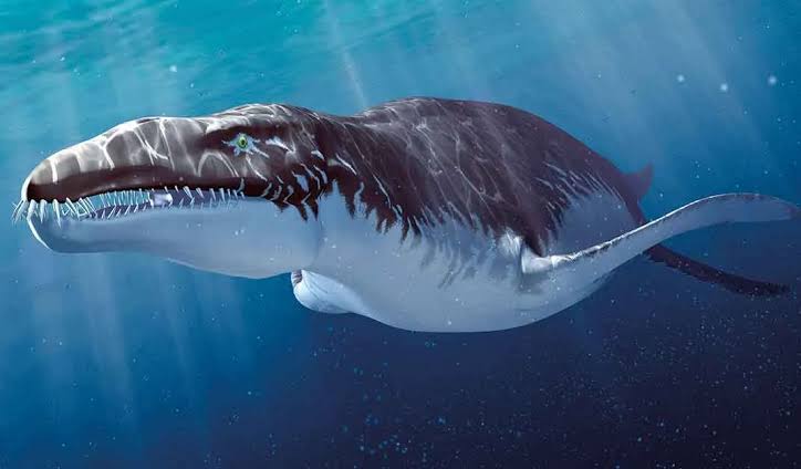 Ten Exquisite Creatures That Once Roamed the Earth