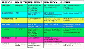 Vasopressors Critical Care Nursing Icu Nursing Cardiac