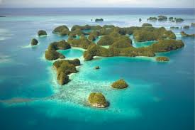Libro de matematicas 5 grado contestado pagina 192. Linking Tourism Conservation Www Ltandc Org