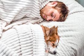 Es malo dormir con tu perro o gato? - Descansín