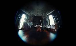 Essay: Fisheye Lenses in Yorgos Lanthimos' Poor Things (2023 ...