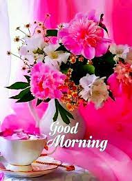 If you liked our good morning flower images, then share your friends and family relatives on facebook and pinterest. Good Morning Images For Whatsapp Free Download Hd Wallpaper Pictures Photos Of Good Morning Images Flowers Good Morning Beautiful Flowers Good Morning Roses