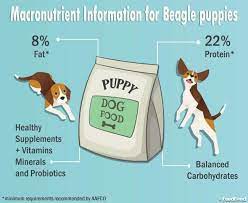 Macronutrient Information For Beagle Puppies Https Www Feedfond Com Best Dog Food For Beagles Beagle Nahrung
