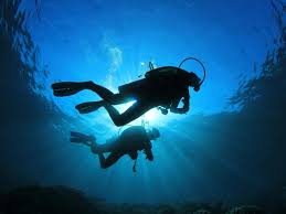 Check out answers, plus see 360 reviews, articles, and 388 photos of cave divers hurghada, ranked no.41 on tripadvisor among 804 attractions in hurghada. Safaga Diving Courses Barakuda